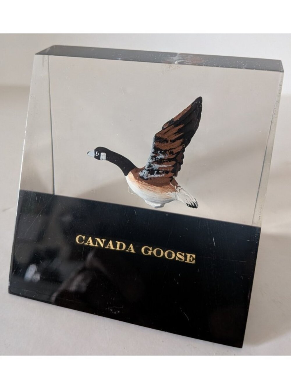 Vintage 3D Acrylic/ Lucite Canada Goose Paperweight Embedded Goose Black Base